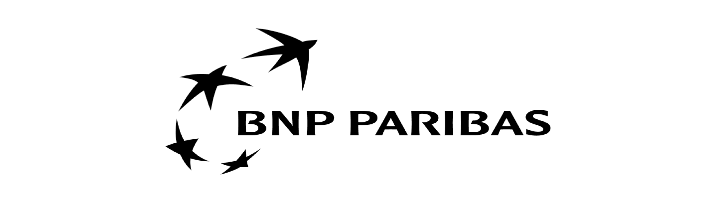 BNP Paribas logo